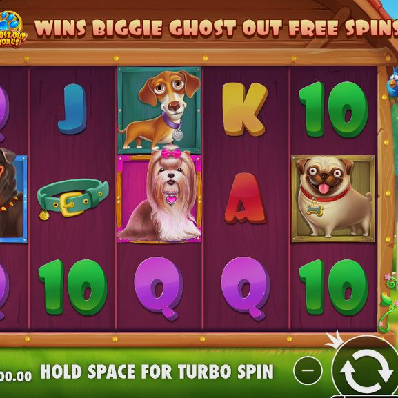 The Big Dog House